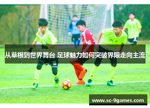 从草根到世界舞台 足球魅力如何突破界限走向主流