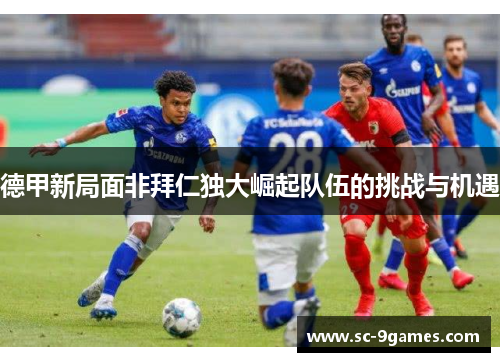 德甲新局面非拜仁独大崛起队伍的挑战与机遇