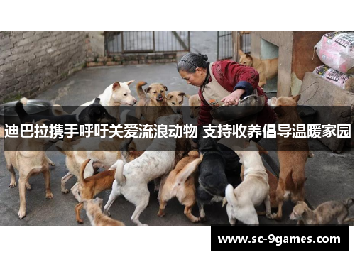 迪巴拉携手呼吁关爱流浪动物 支持收养倡导温暖家园 迪巴拉携手呼吁关爱流浪动物 支持收养倡导温暖家园